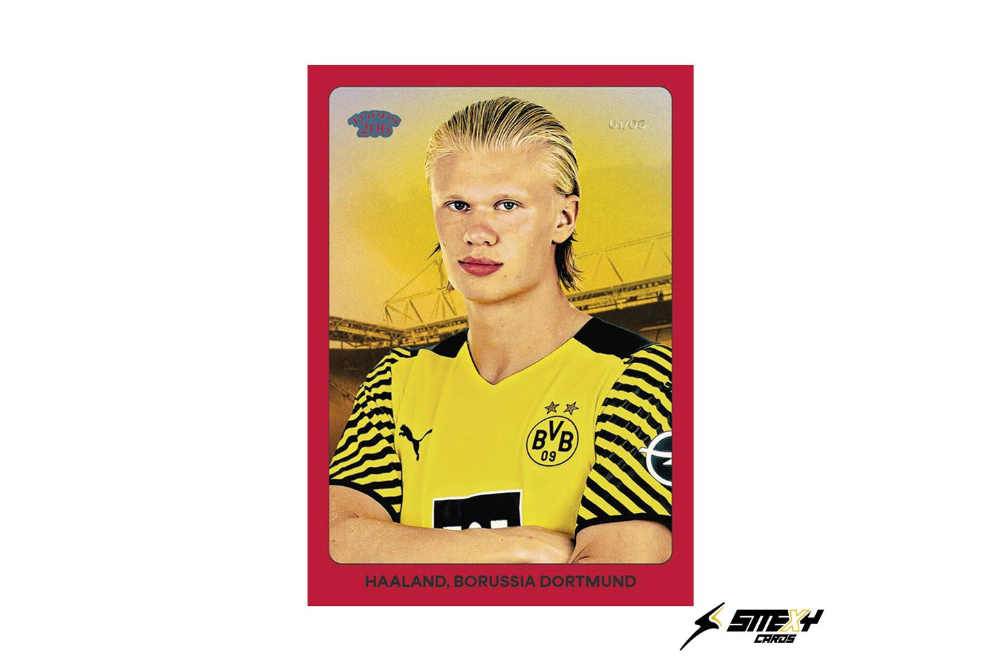 BVB TEAMSET 24/25 (Personal im Stream)