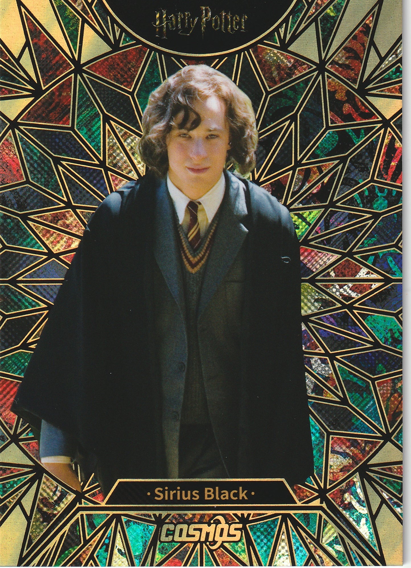 Sirius Black Young Stained Glass /50 - Harry Potter Cosmos Kakawow
