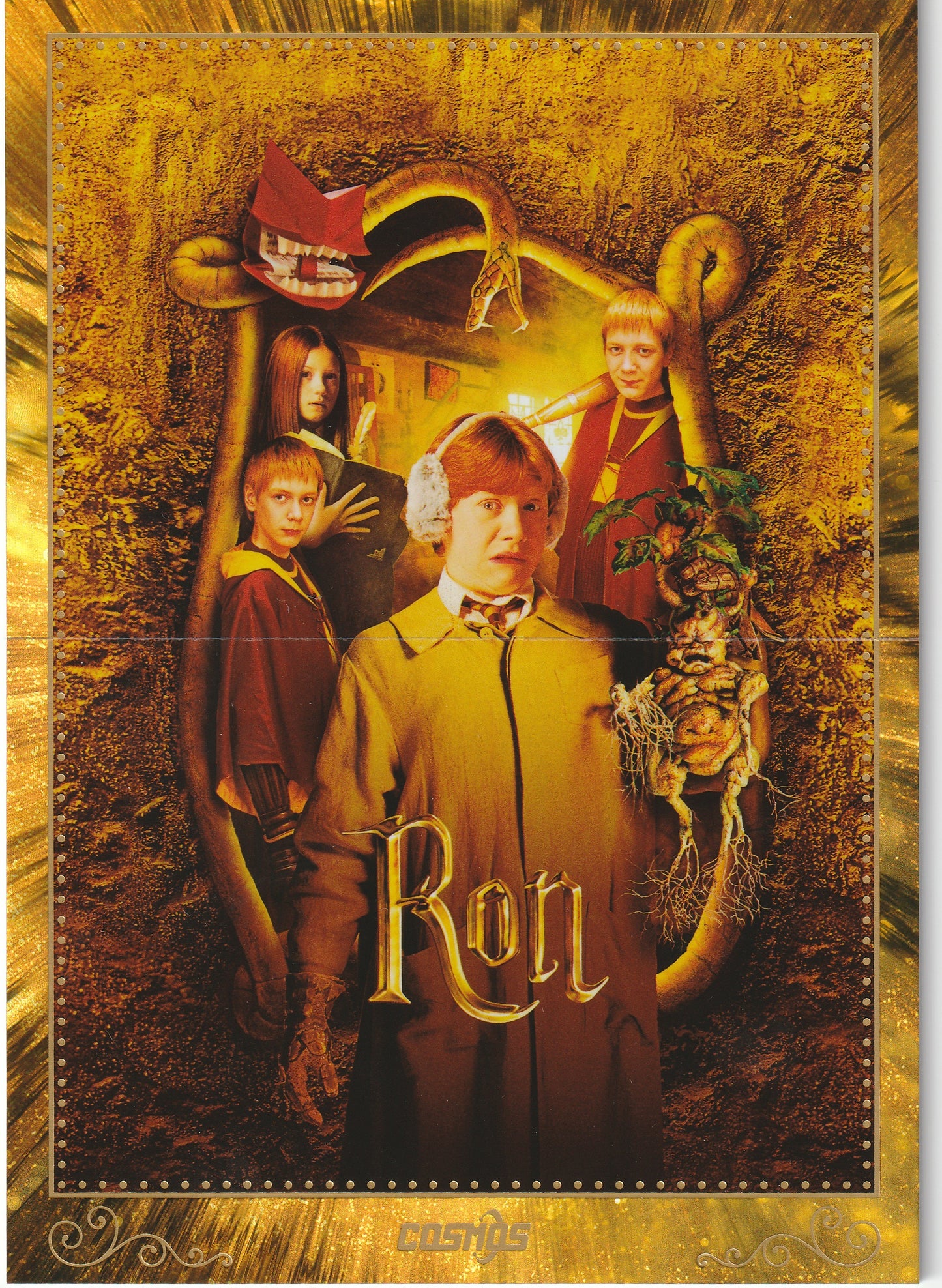 Harry Potter Collection Poster Kammer des Schreckens CHP-HB-17 - Harry Potter Cosmos Kakawow