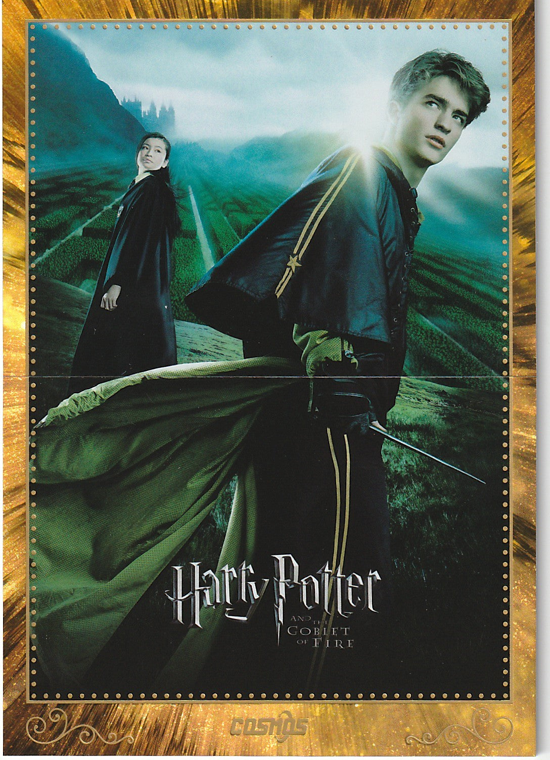 Harry Potter Collection Poster Der Feuerkelch CHP-HB-39 - Harry Potter Cosmos Kakawow
