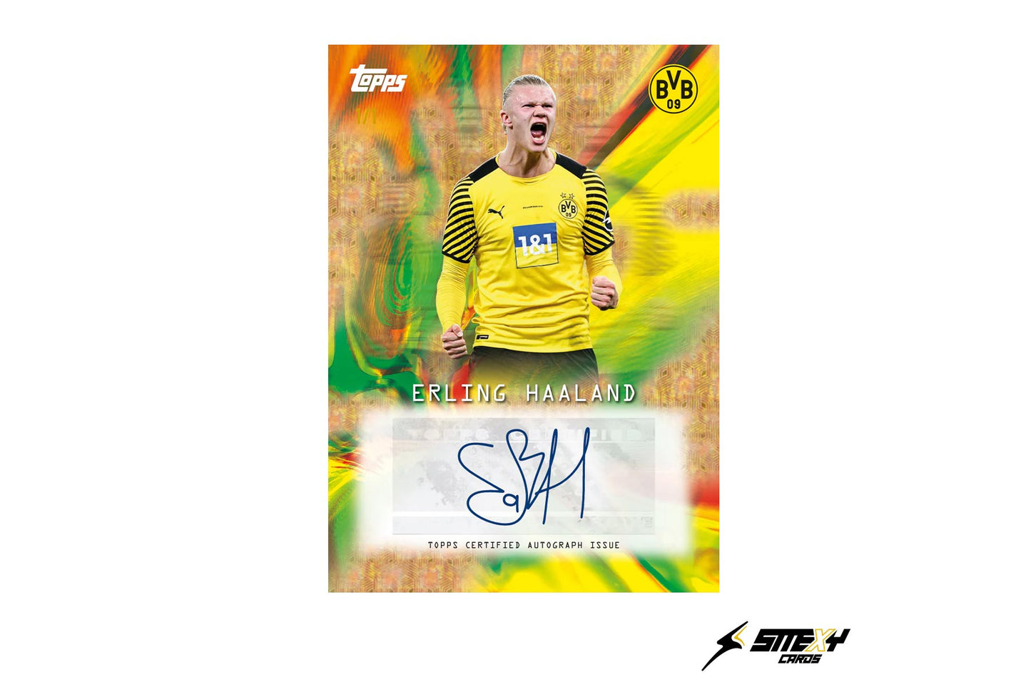 Topps® Focus Borussia Dortmund 2025-2026