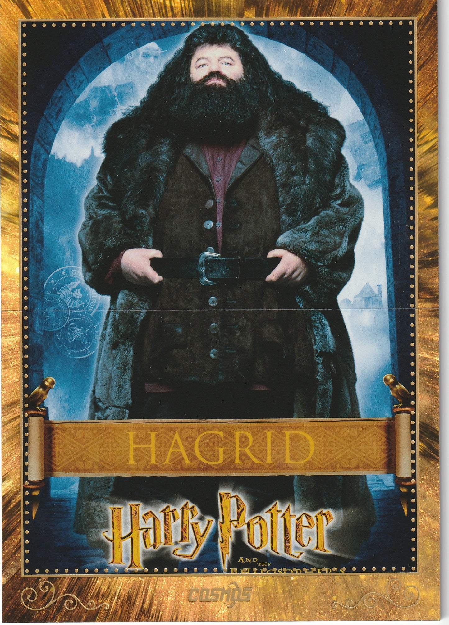 Harry Potter Collection Poster Stein der Weisen CHP-HB-08 - Harry Potter Cosmos Kakawow
