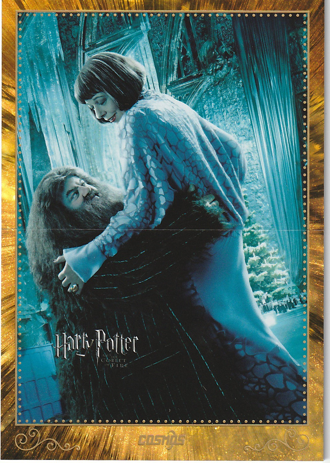 Harry Potter Collection Poster Der Feuerkelch CHP-HB-32 - Harry Potter Cosmos Kakawow