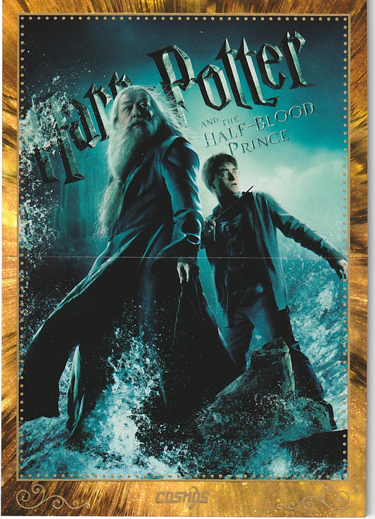 Harry Potter Collection Poster Der Halbblutprinz CHP-HB-51 - Harry Potter Cosmos Kakawow