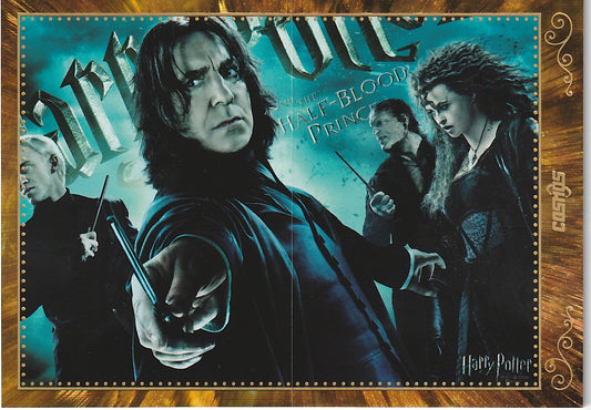 Harry Potter Collection Poster Der Halbblutprinz CHP-HB-57 - Harry Potter Cosmos Kakawow