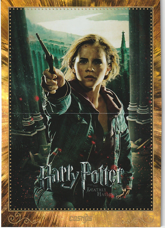 Harry Potter Collection Poster Heiligtümer des Todes Part 2 CHP-HB-71 - Harry Potter Cosmos Kakawow