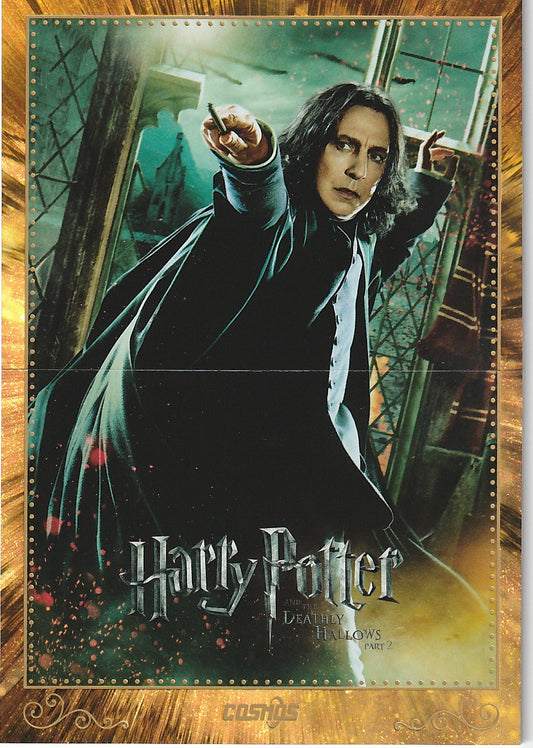 Harry Potter Collection Poster Heiligtümer des Todes Part 2 CHP-HB-77 - Harry Potter Cosmos Kakawow
