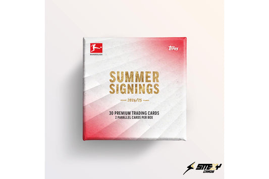 Bundesliga Summer Signings 2024/25