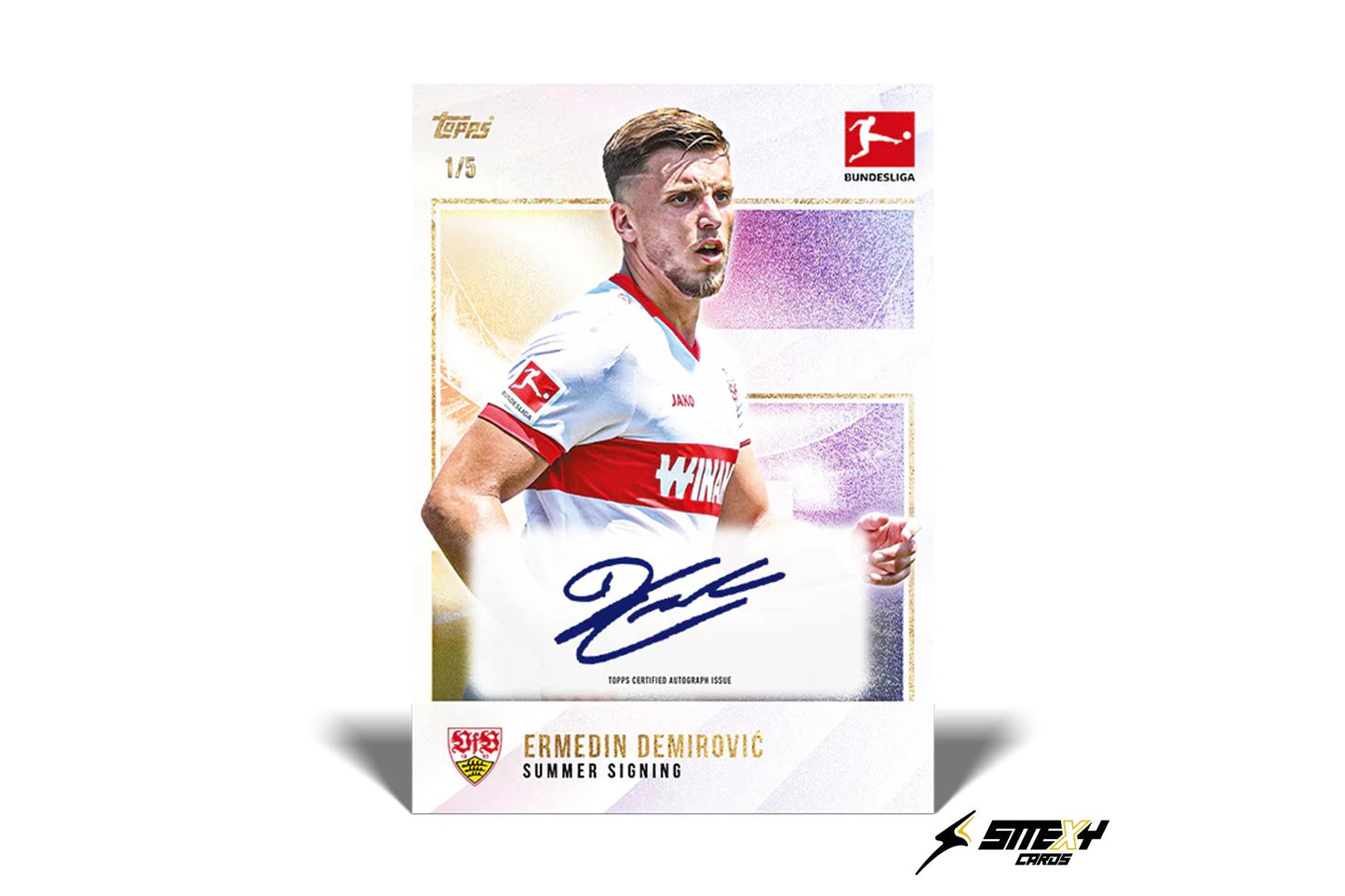 Bundesliga Summer Signings 24/25