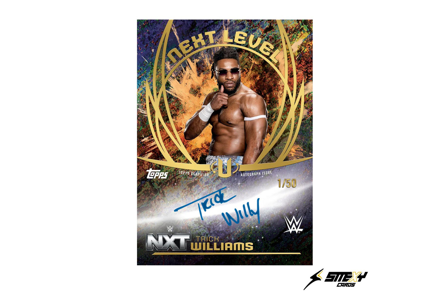 2025 Topps WWE Universe - Hobby
